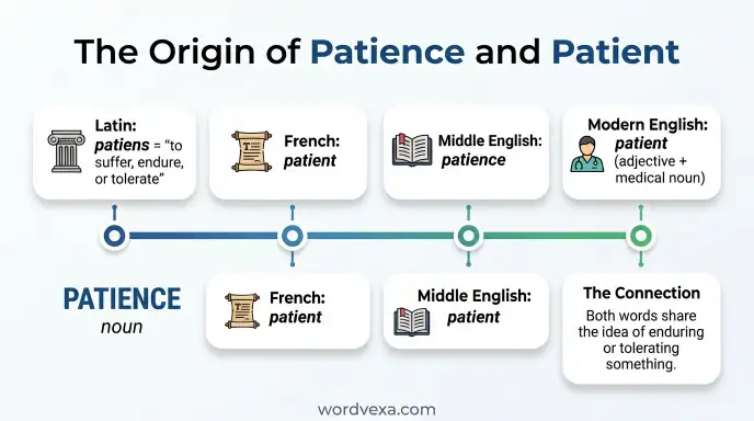 The Origin of Patience and Patient